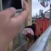 Thumbnail of related posts 073